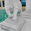 萍乡 白麻花岗岩动物异形石雕-大象