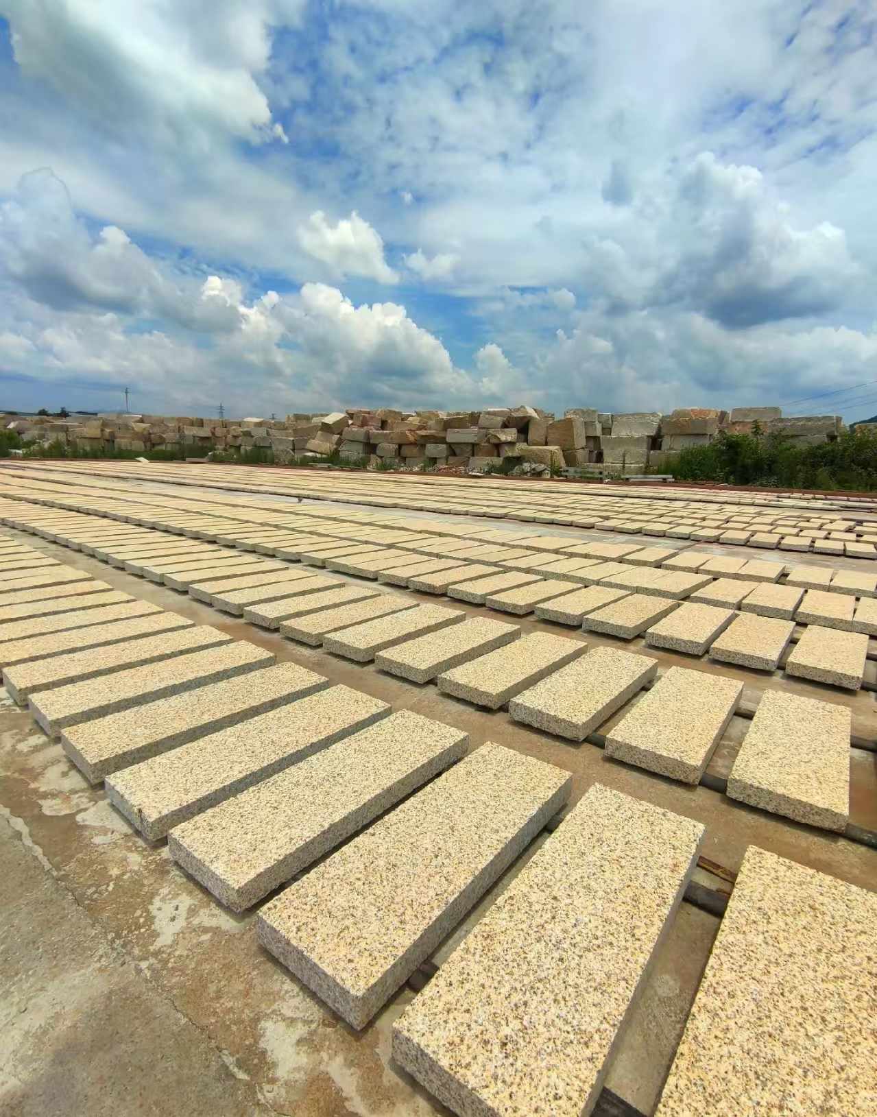萍乡 黄金麻荔枝面花岗岩石材地铺石防护中