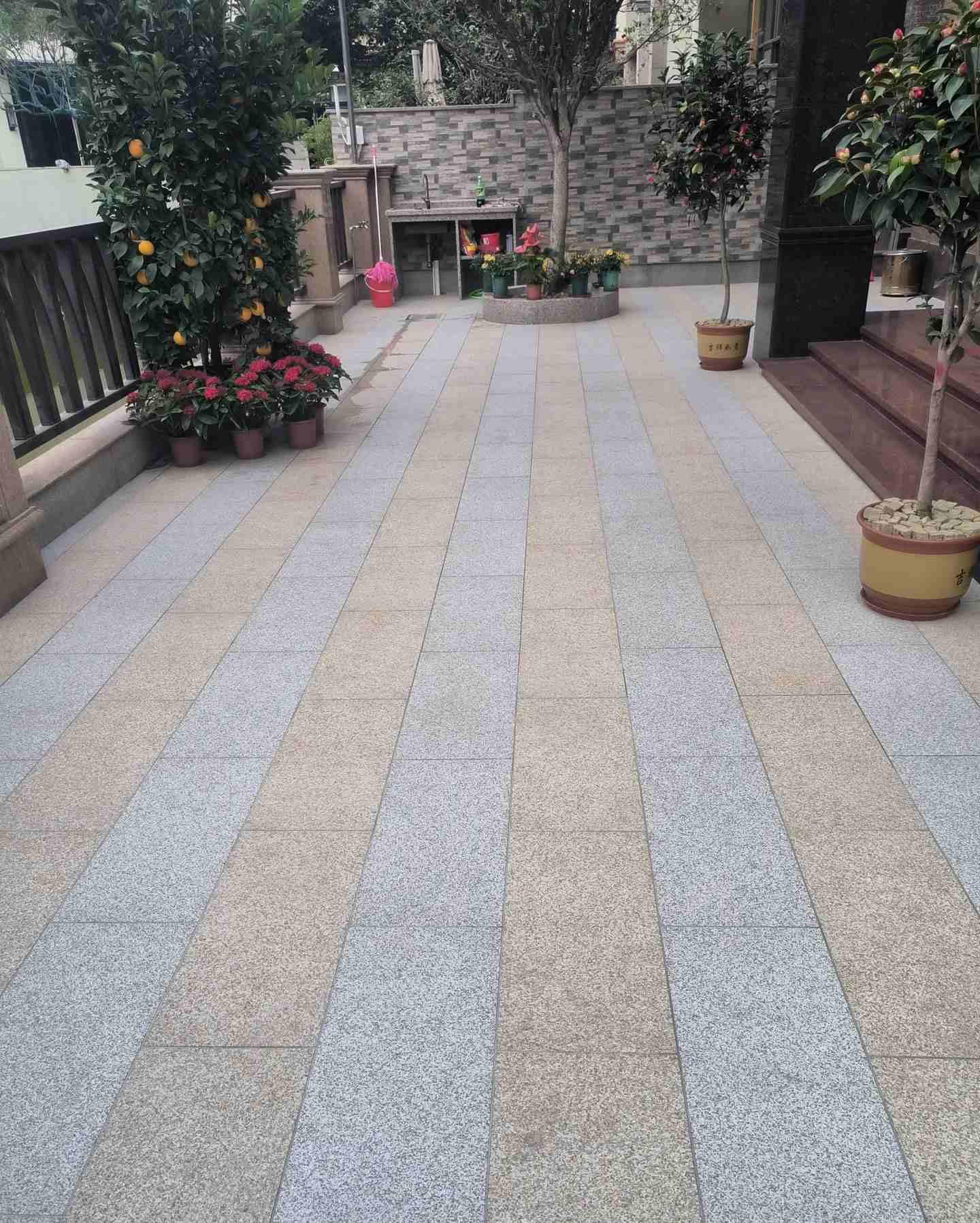 萍乡 黄金麻白麻荔枝面庭院铺装展示