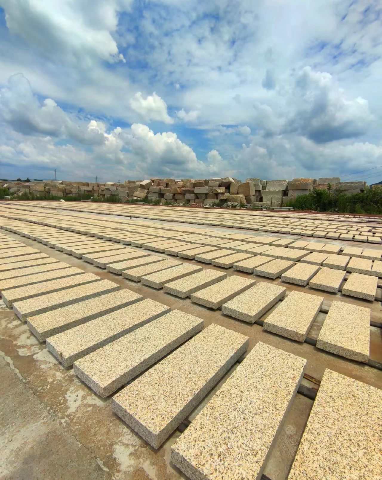 萍乡 黄金麻花岗岩荔枝面地铺石防护中